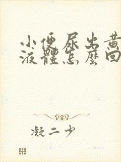 小便尿出黄粘稠液体怎么回事
