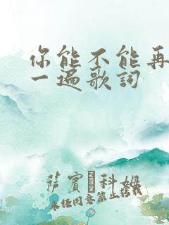 你能不能再爱我一遍歌词
