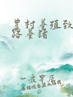 农村养殖致富门路养猪
