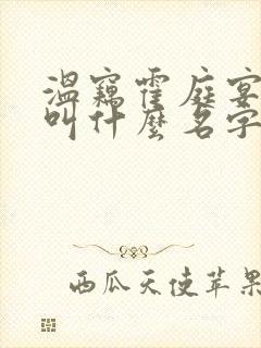温窃霍庭宴小说叫什么名字