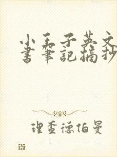 小王子英文版读书笔记摘抄