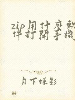 zip用什么软件打开手机