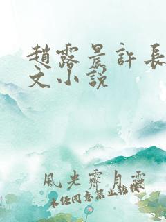 赵露晨许长生全文小说