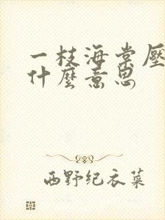 一枝海棠压梨花什么意思
