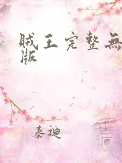 贼王完整无删减版