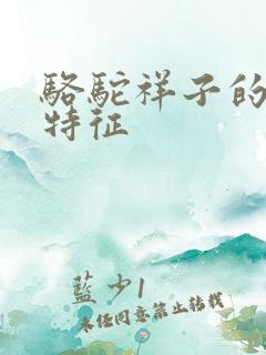骆驼祥子的外貌特征 骆驼祥子的外貌特征