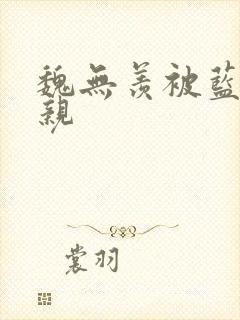 魏无羡被蓝忘机亲 魏无羡被蓝忘机亲
