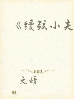 《续弦小夫人》 《续弦小夫人》