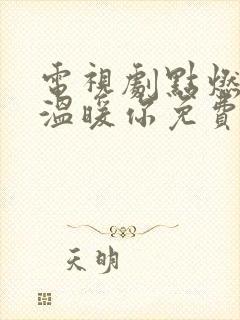 电视剧点燃我,温暖你免费看 电视剧点燃我,温暖你免费看