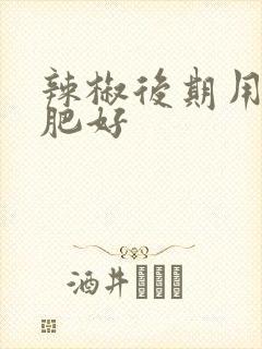 辣椒后期用什么肥好