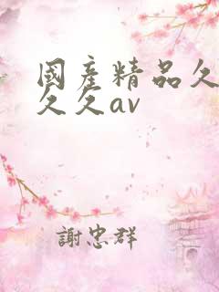 国产精品久久久久久av