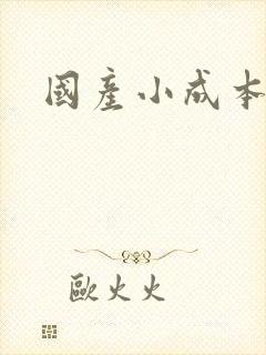 国产小成本毛片