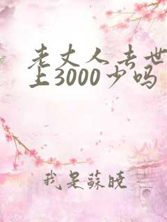 老丈人去世女婿上3000少吗