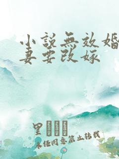 小说无效婚约前妻要改嫁