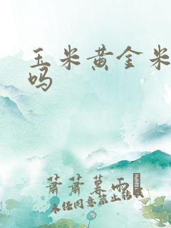 玉米黄金米好吃吗