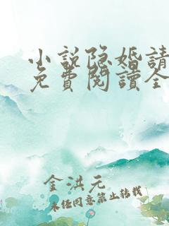 小说隐婚请低调免费阅读全文
