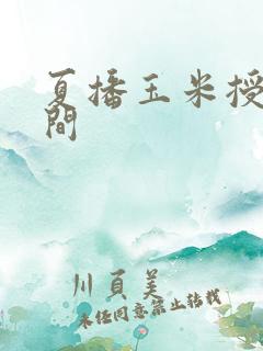 夏播玉米授粉时间