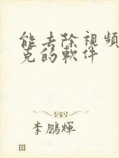 能去除视频马赛克的软件