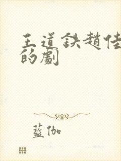 王道铁赵佳合作的剧
