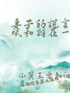 妻子的谎言江一斌和谁在一起了