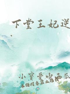 下堂王妃逆袭记.
