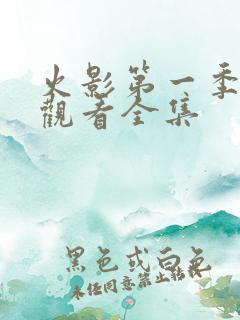 火影第一季免费观看全集