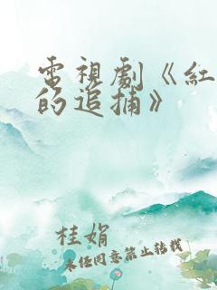 电视剧《红岩下的追捕》