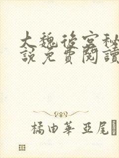 大魏后宫秘史小说免费阅读全文 大魏后宫秘史小说免费阅读全文