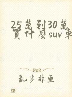 25万到30万买什么suv车好