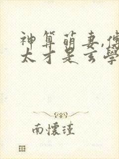 神算萌妻,傅太太才是玄学