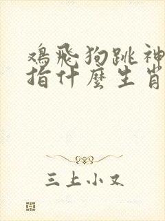 鸡飞狗跳神不定指什么生肖