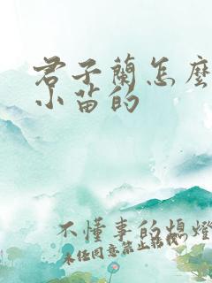 君子兰怎么繁殖小苗的