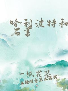 哈利波特和魔法石书