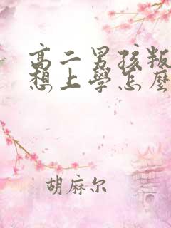 高二男孩叛逆不想上学怎么办啊?