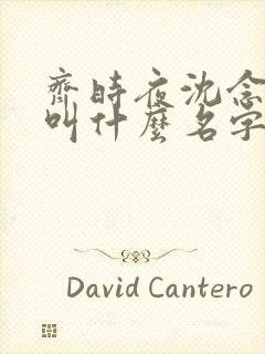 齐时夜沈念小说叫什么名字 齐时夜沈念小说叫什么名字
