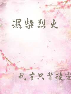 湿柴烈火 湿柴烈火