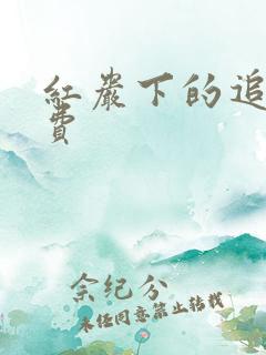 红岩下的追捕免费