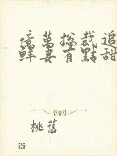 亿万总裁追妻 鲜妻有点甜