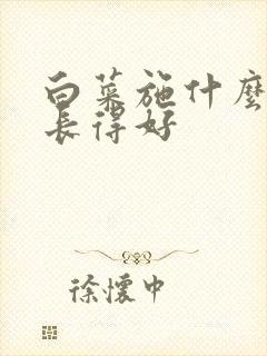 白菜施什么肥料长得好