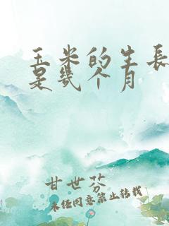 玉米的生长周期是几个月