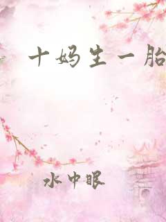 十妈生一胎