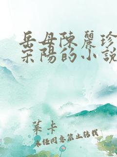 岳母陈丽珍女婿宋阳的小说金屋藏娇免费阅读