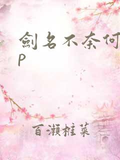 剑名不奈何副cp