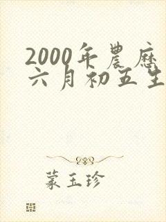 2000年农历六月初五生辰八字 2000年农历六月初五生辰八字