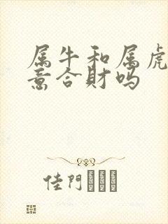 属牛和属虎做生意合财吗