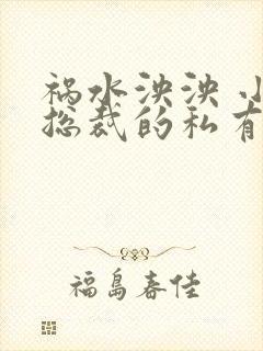 祸水泱泱 小说总裁的私有宝贝