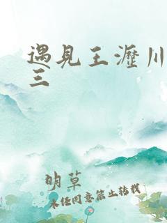 遇见王沥川续文三