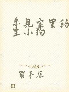 梦见家里的狗狗生小狗