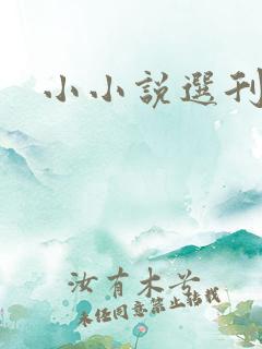 小小说选刊小说