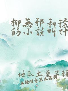柳无邪和徐凌雪的小说叫什么名字